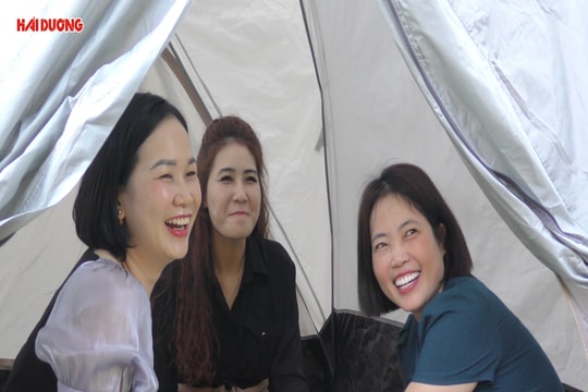 Trải nghiệm dịch vụ cắm trại ở Côn Sơn